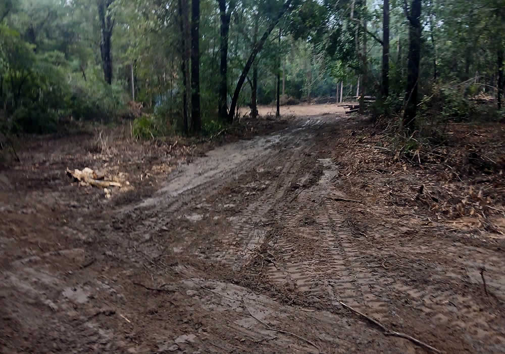 Land Clearing Service FL