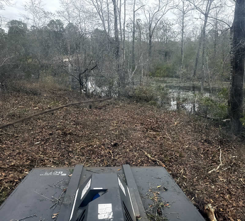 Land Clearing Services FL