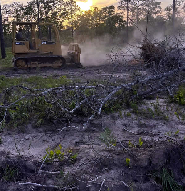 Land Clearing Site Preparation Services