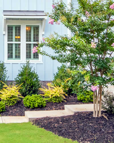 Landscape Mulching Installation