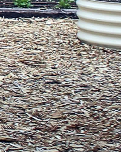 Soil Protection & Moisture Retention