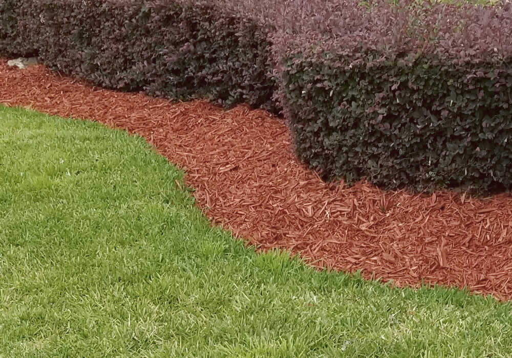 Mulch Installation Lawn Service FL