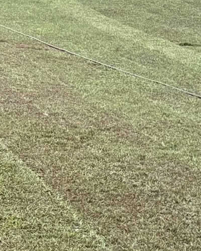 New Construction Lawn Installation