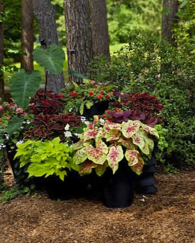 Mulching for New Landscaping Projects