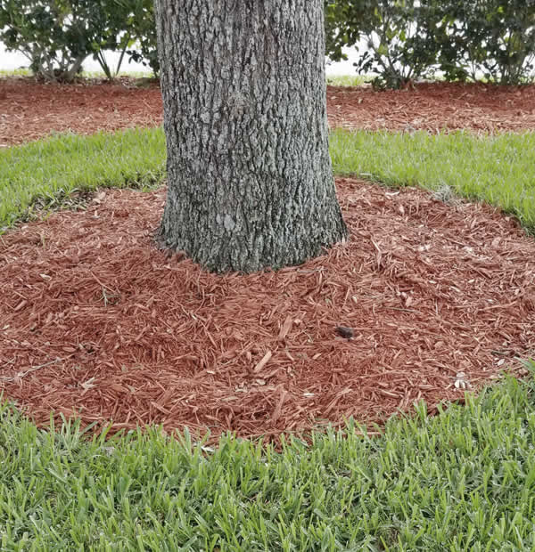 Professional Mulching Services