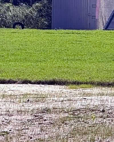 Proper Soil Preparation for Lawns